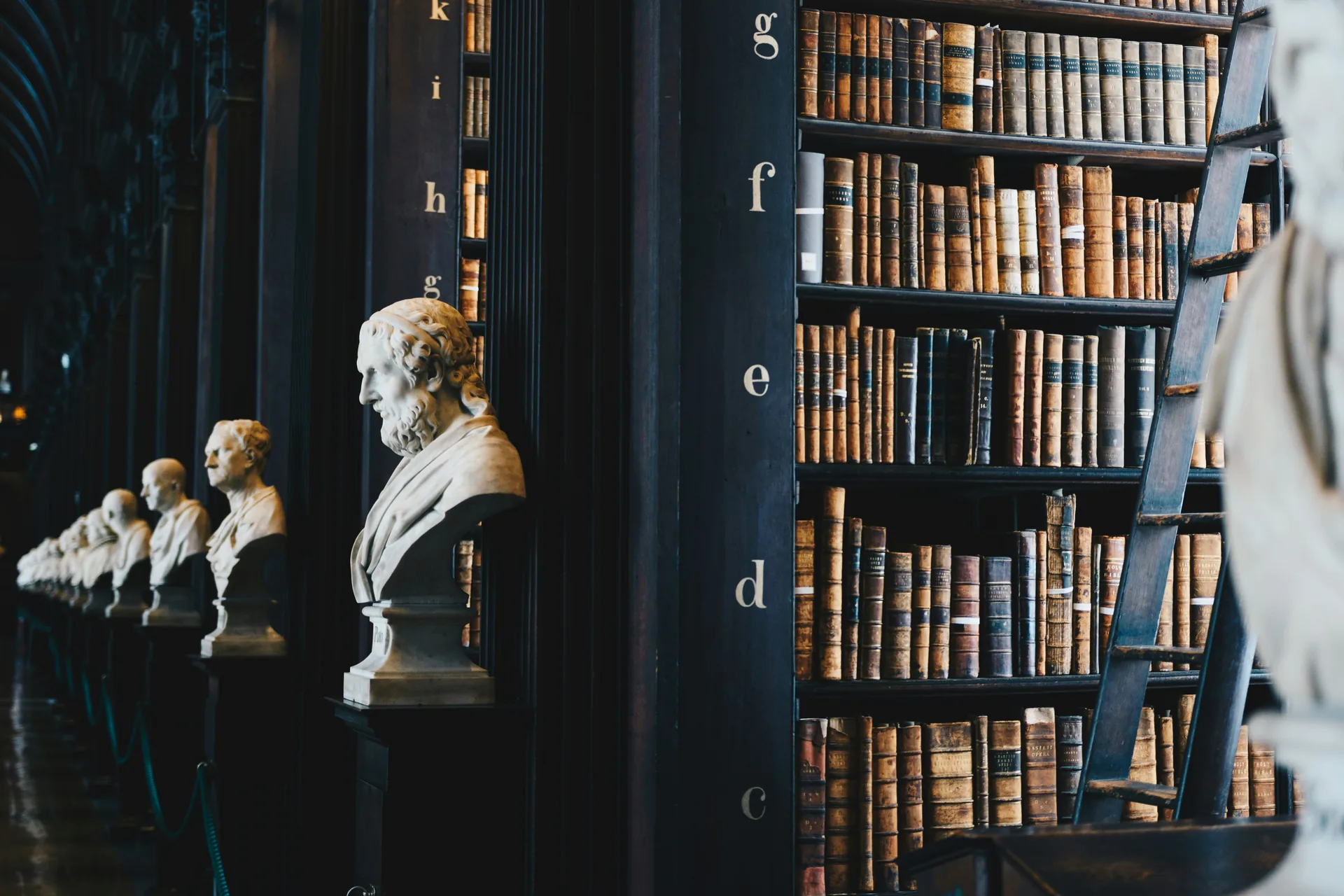 Historic law library with leather-bound books and marble busts